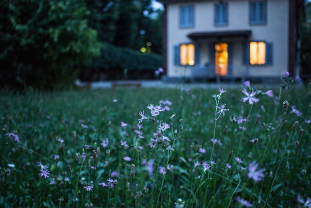 maison avec jardin